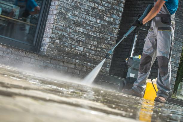 Trusted Rosenhayn, NJ Pressure Washing Services Experts