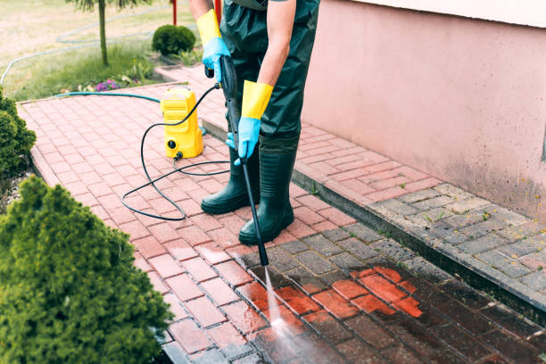 Best Machinery and Equipment Cleaning  in Rosenhayn, NJ
