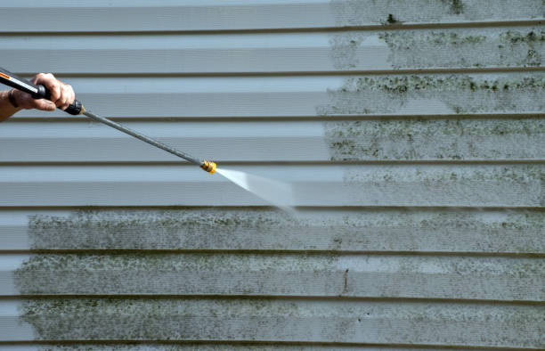 Solar Panel Cleaning in Rosenhayn, NJ